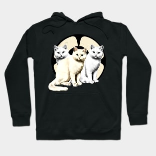 white and gray kittens Hoodie